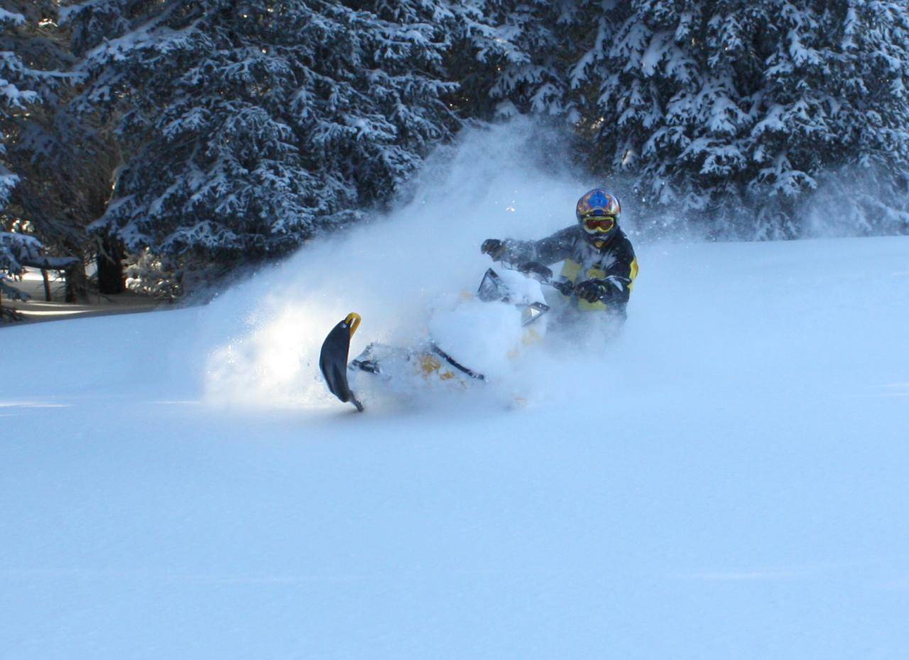 Me rippin some pow!!