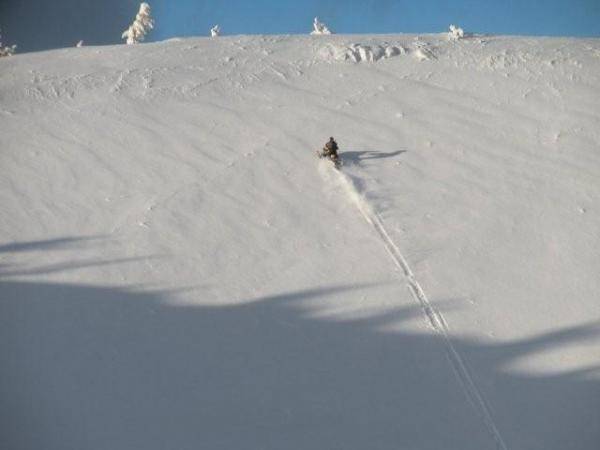 Mel Climbing Kwohl bowl