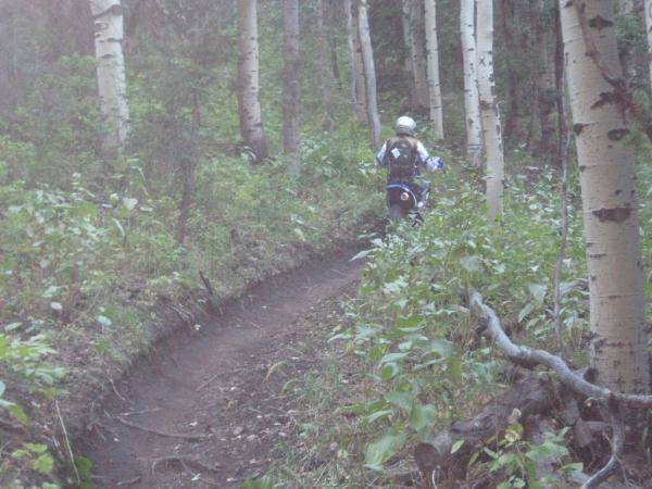 More AF Single Track