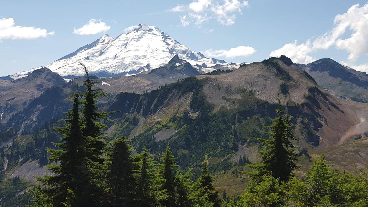 Mt Baker 08/09/2015