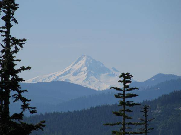 mt. hood