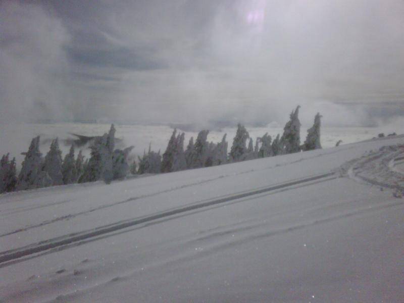 Mt. spokane 2 3 2010