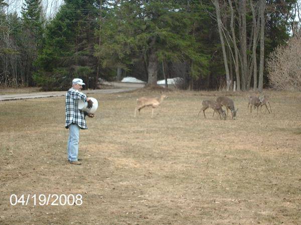 my dad pets