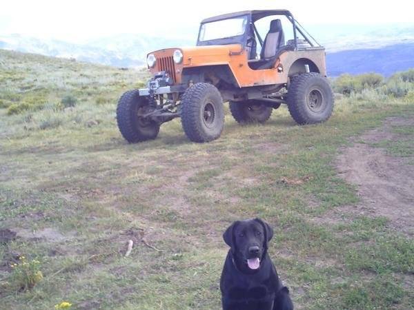 My Jeep and my Black Lab &quot;Buddy&quot;