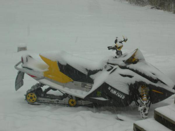 My sled

I like powder, but taking twisty trails as 80mph is a blast too. Real adrenaline rush!