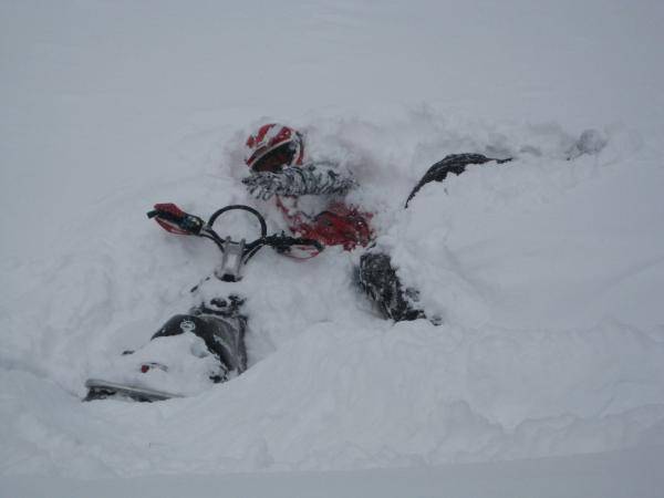 Nobblets ride 1 28 09 
Marc's snow plant, I can't get up.