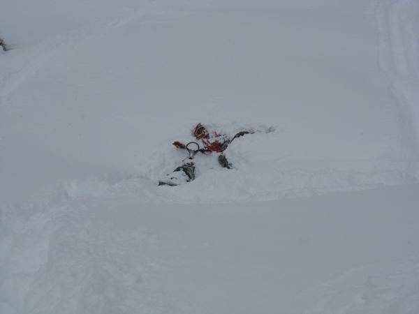 Nobblets ride 1 28 09 
Marc's snow plant