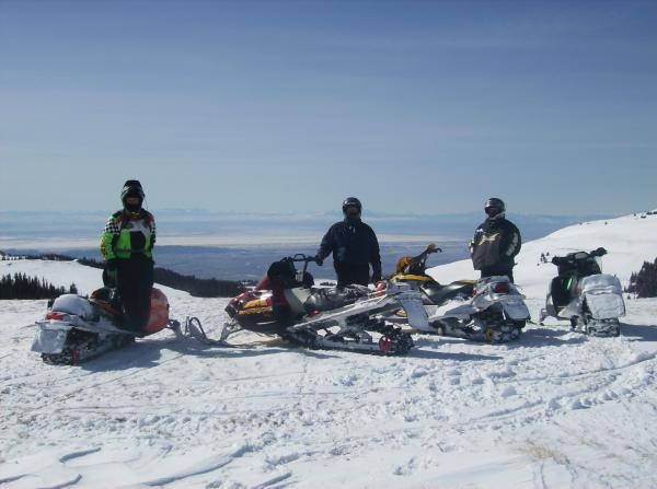 On top of Bald Mountain-Bighorns