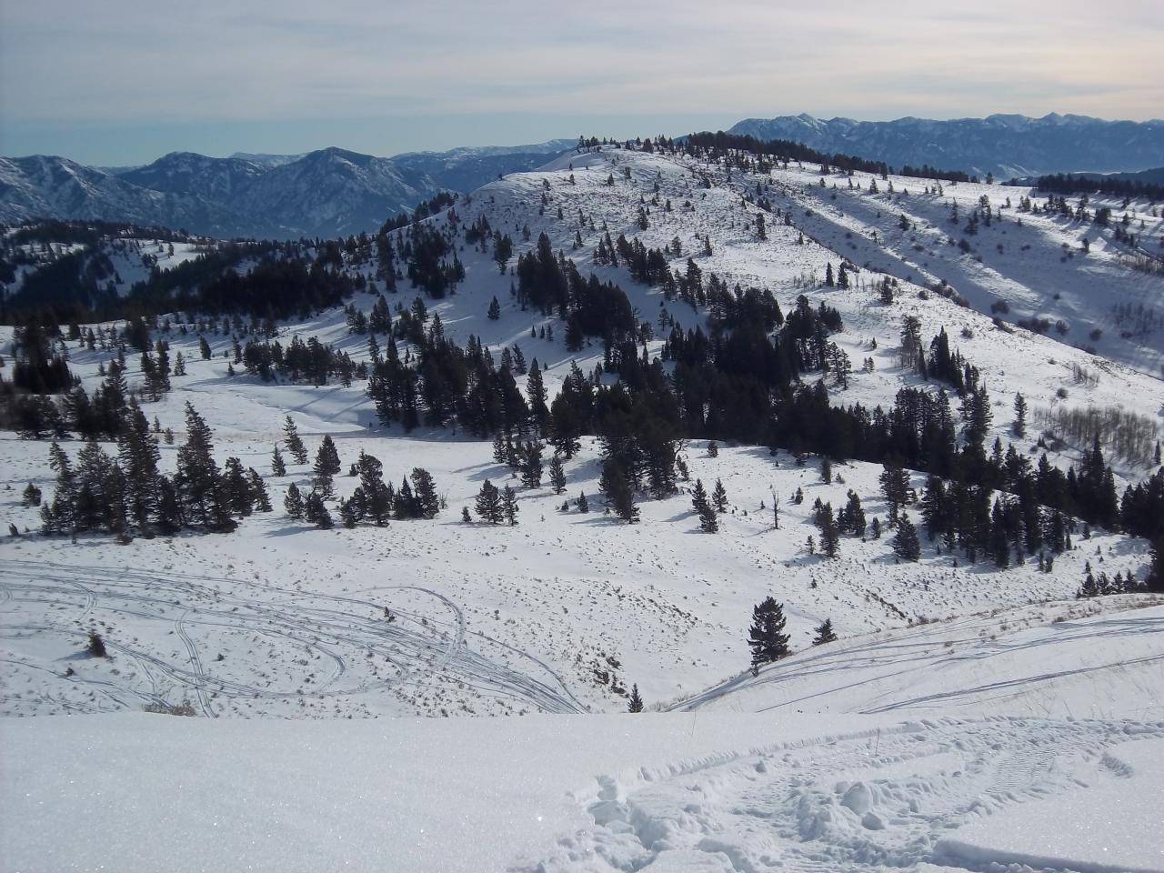 On top of poker peak looking at Alpine