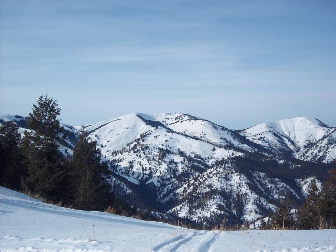 on top of poker peak