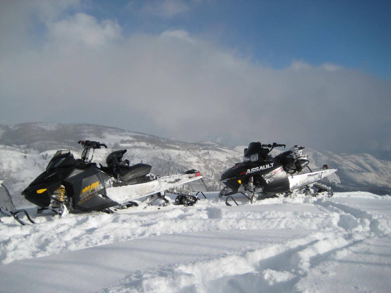 one day old sled!