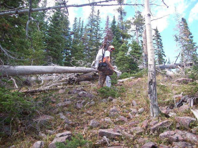 Packing out dads elk 2008