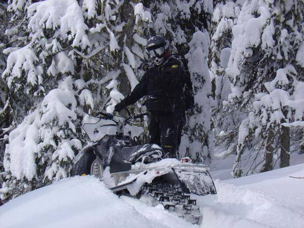 Powder at Trestle