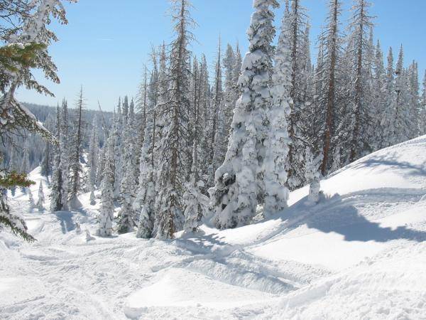 Powder climbs