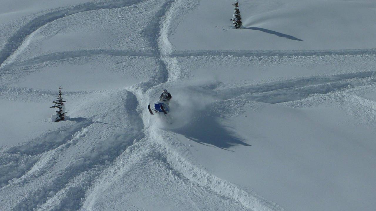 Ray Taking Flight at Brandywine 2011