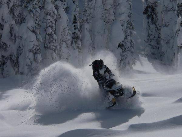 REVY POW