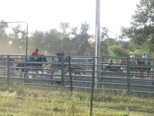 Ropin with Spenny