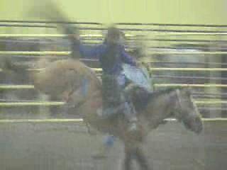 saddle bronc