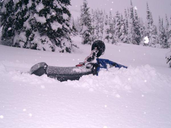 Scott Werner stuck going downhill at Lucille.