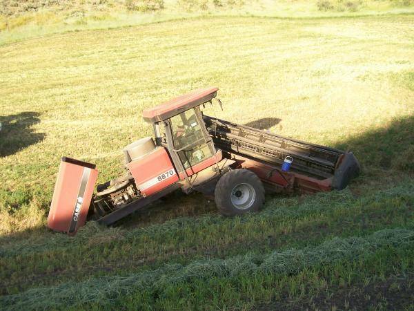 shawns swather 030