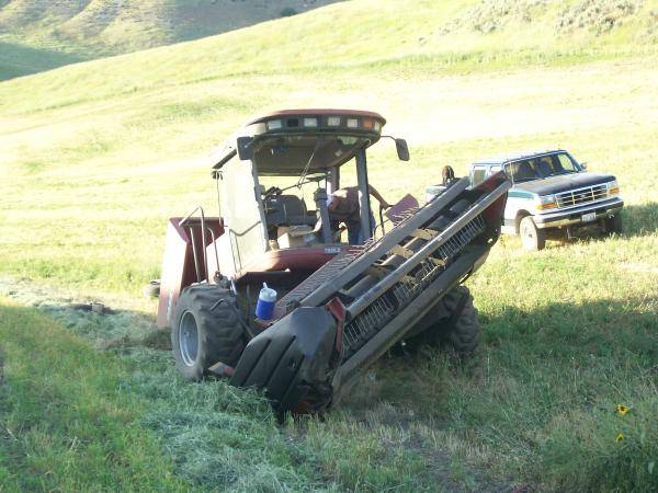 shawns swather 031