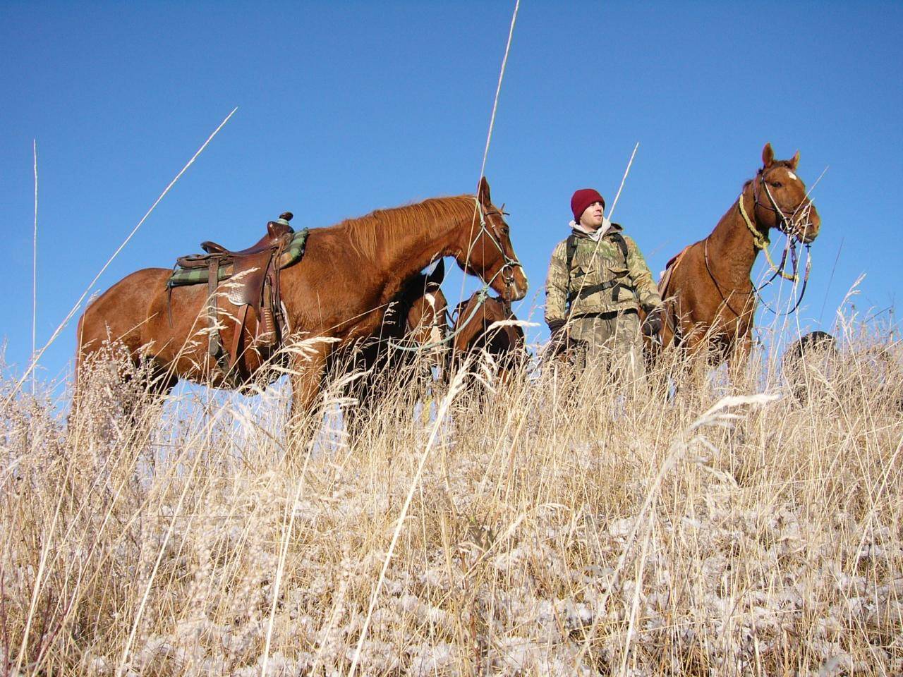 Sitting on a hill top while out Elk hunting