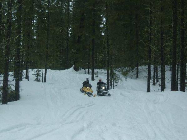 ski-doo 600 artic cat 800