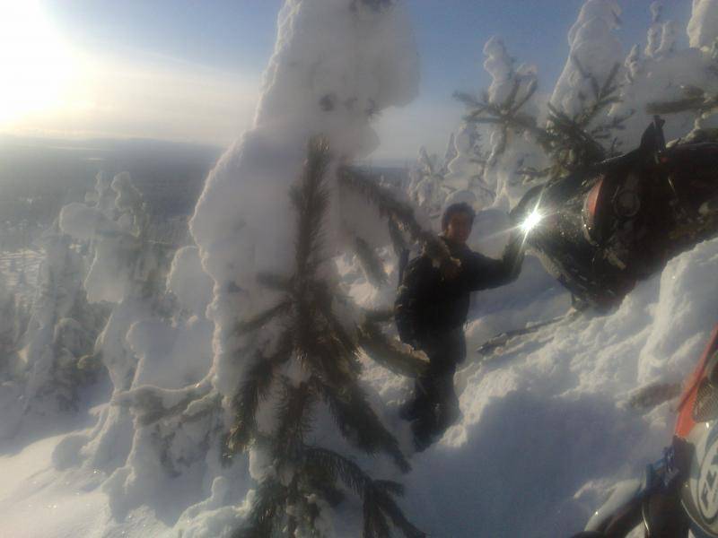 sledding in IP 3 me stuck in the trees.