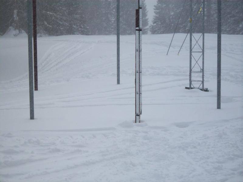 Snow depth around the first half of January-Buffalo Pass