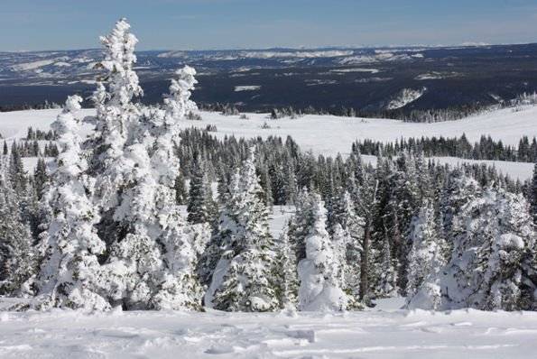 Snow ghost &amp; landscape at West Yellowstone