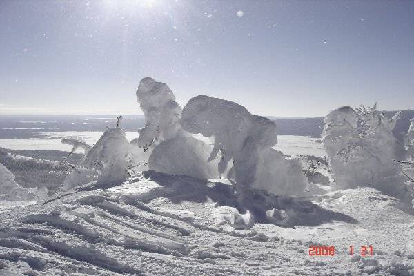 Snow Ghosts