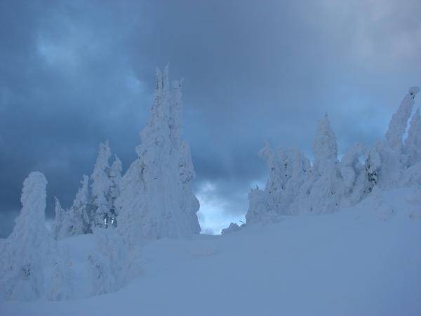 snow giants