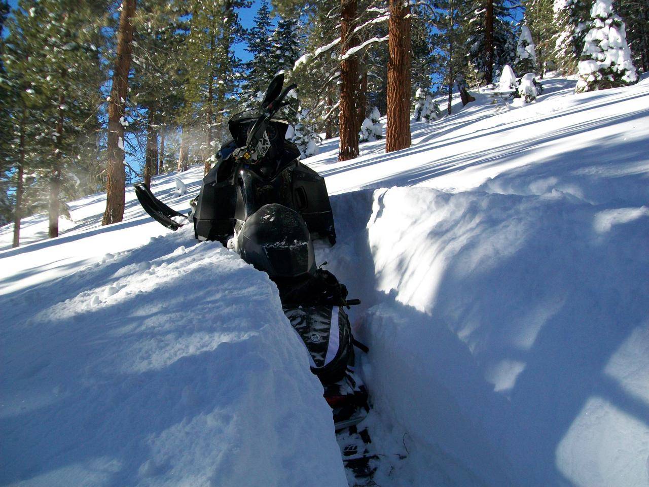 Snow Mammoth 1 25 2010 010