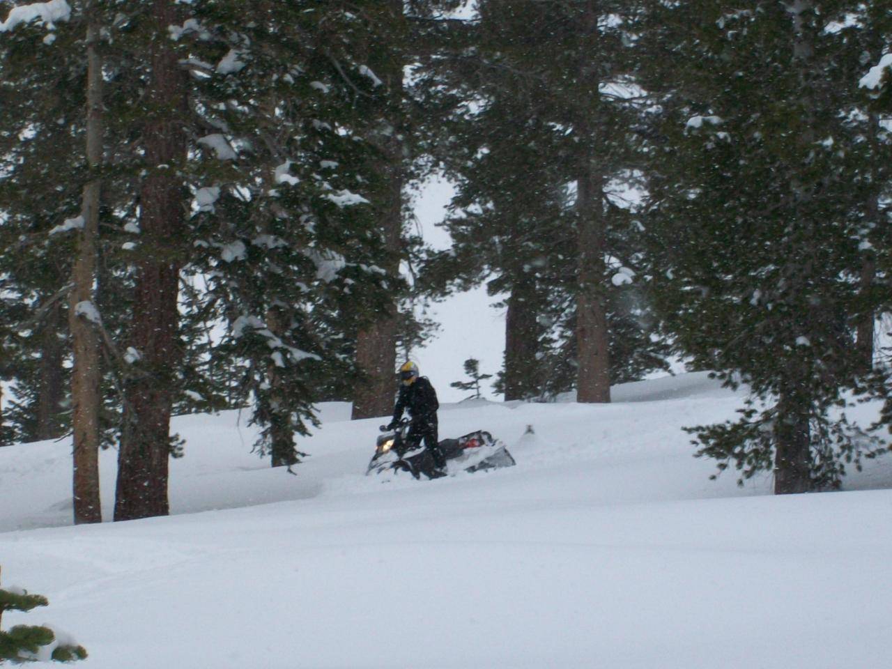 Snow Mammoth 1 25 2010 049