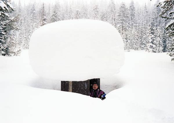 snow mushroom