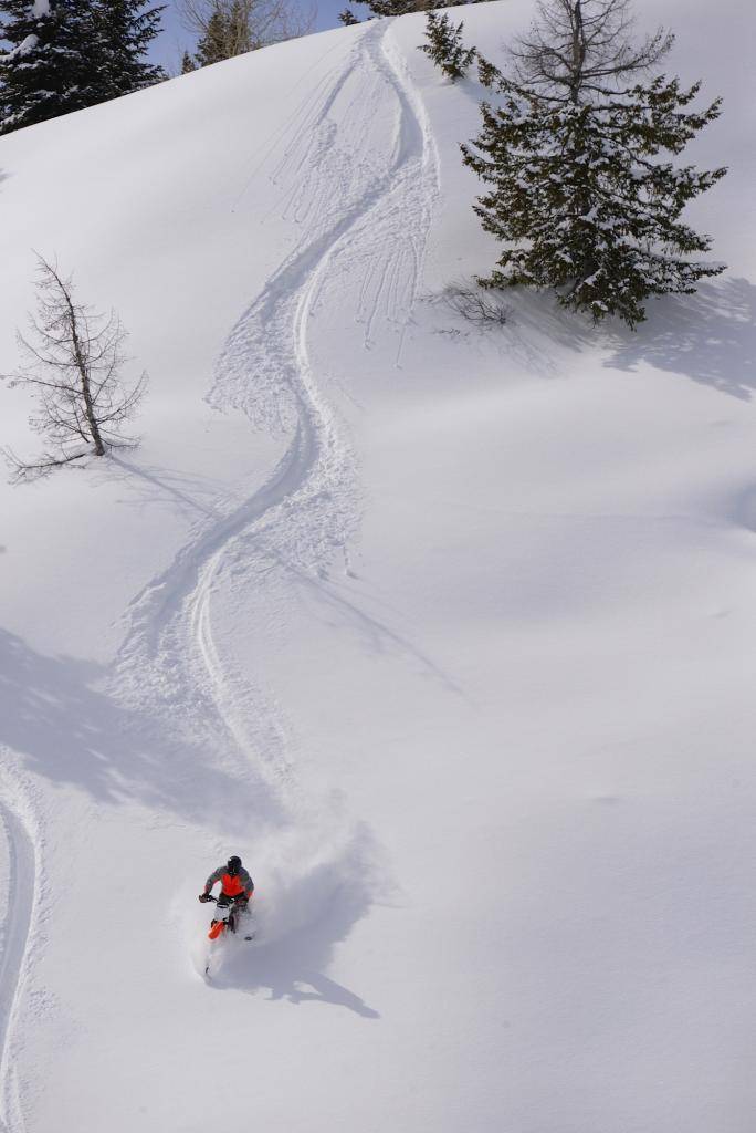 Snowest Timbersled Mountainhorse