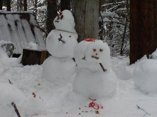 snowman assassination group