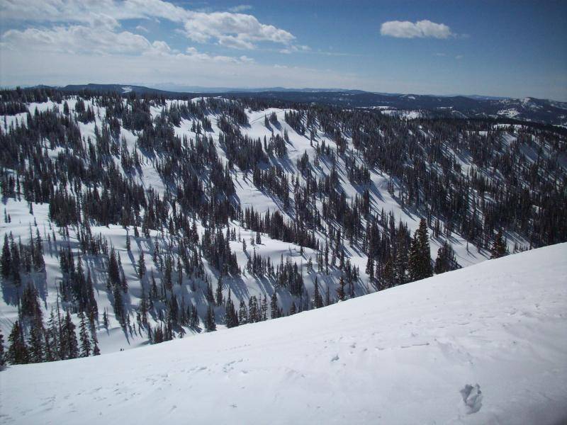 Southern View from the ridge bordering the Zirkel Wilderness