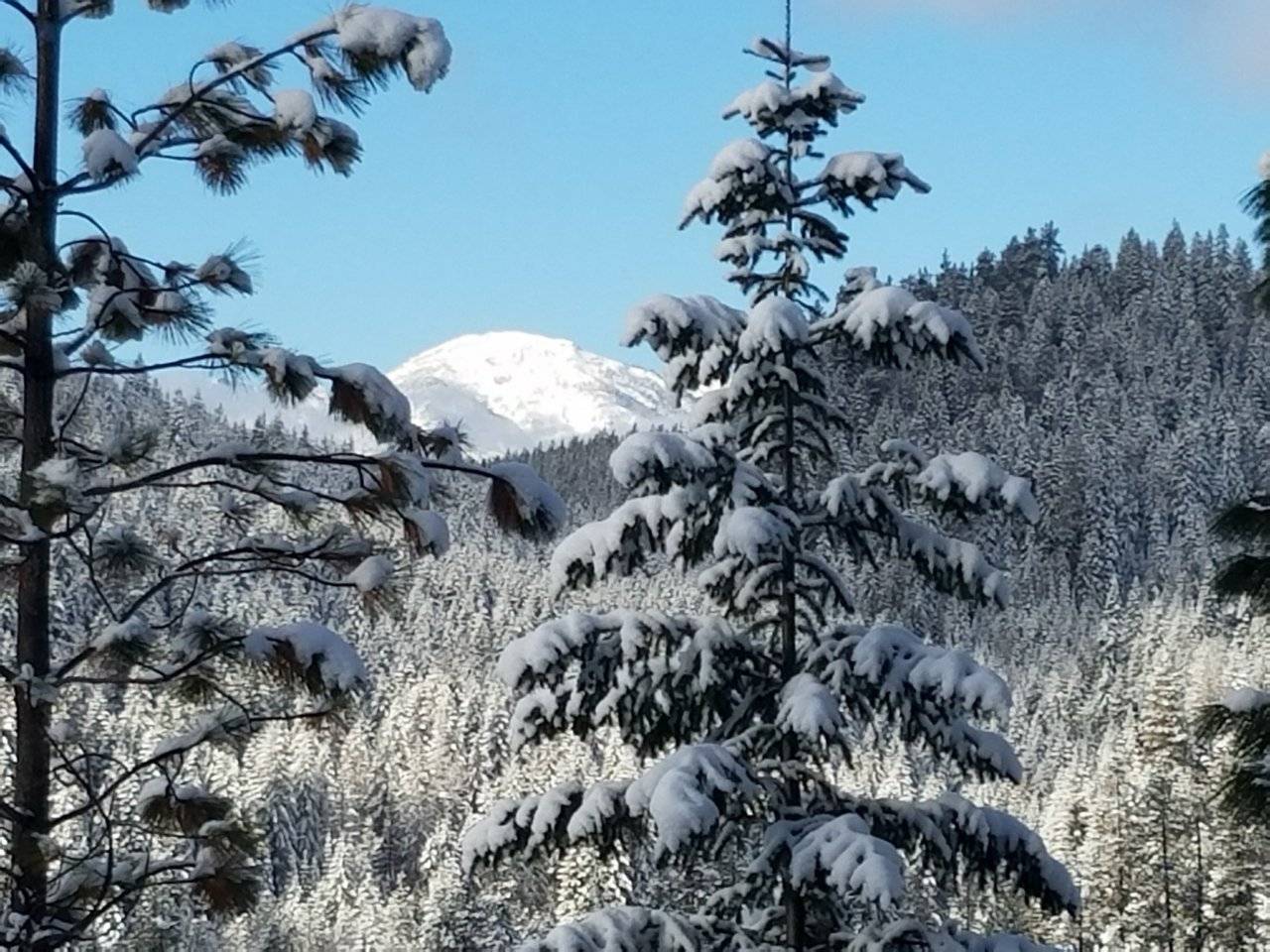 Stampede Pass Dec 23,2017