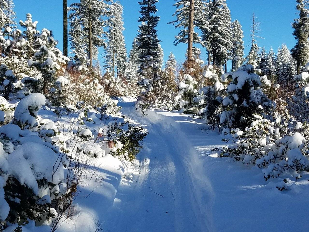 Stampede Pass Dec 23,2017