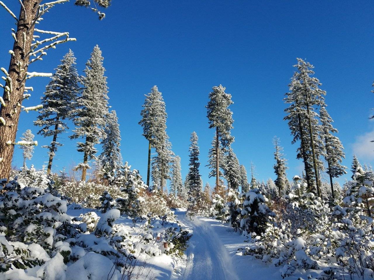 Stampede Pass Dec 23,2017