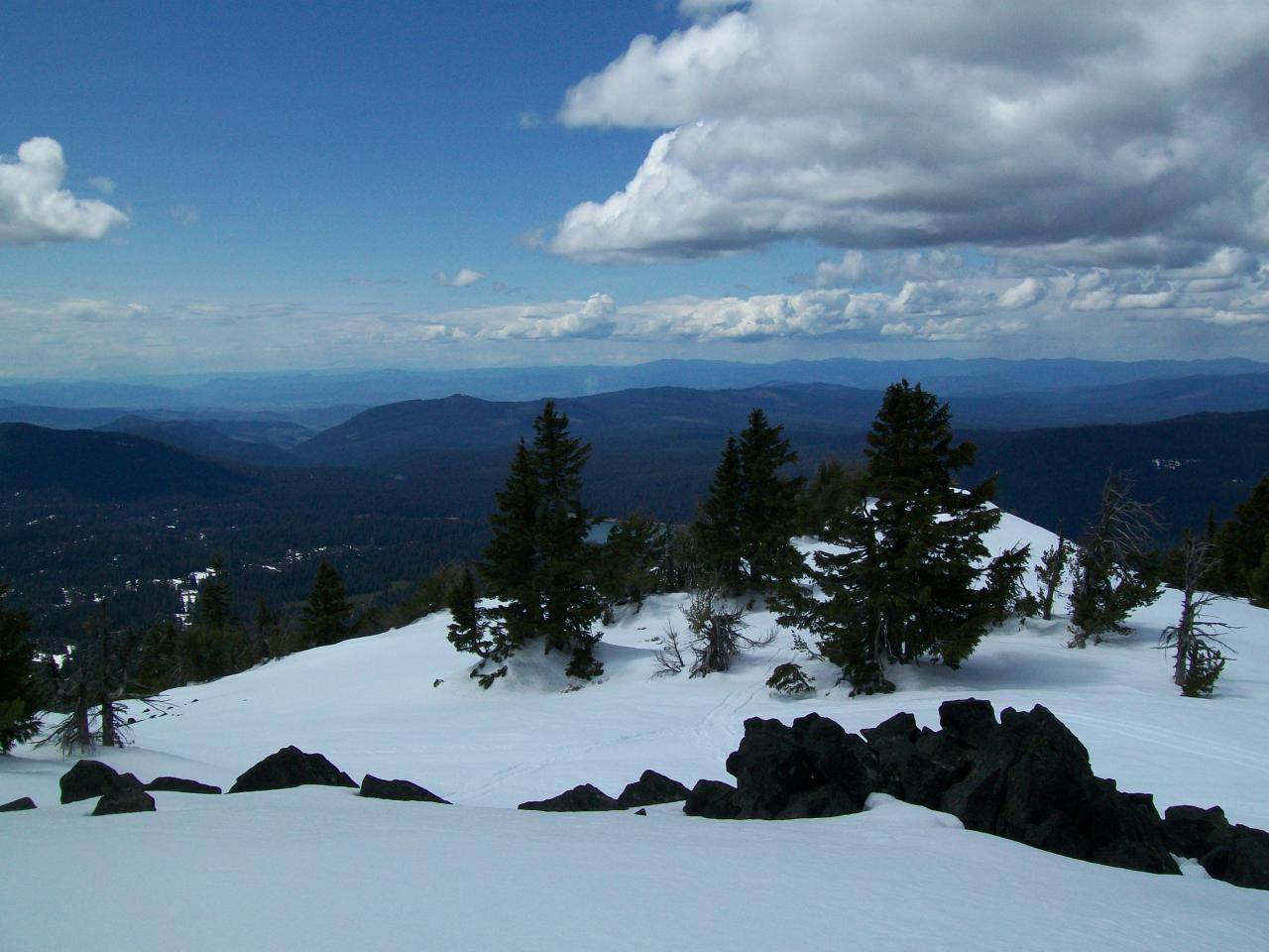 Summit of Brown Mt