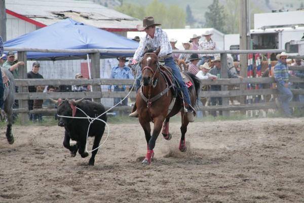 team roping