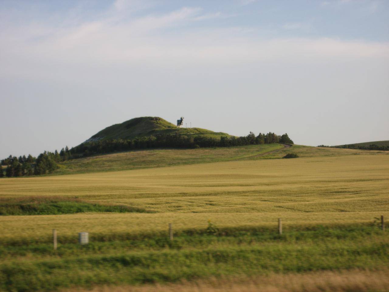 The big cow of North Dakota ... and that's no bull.