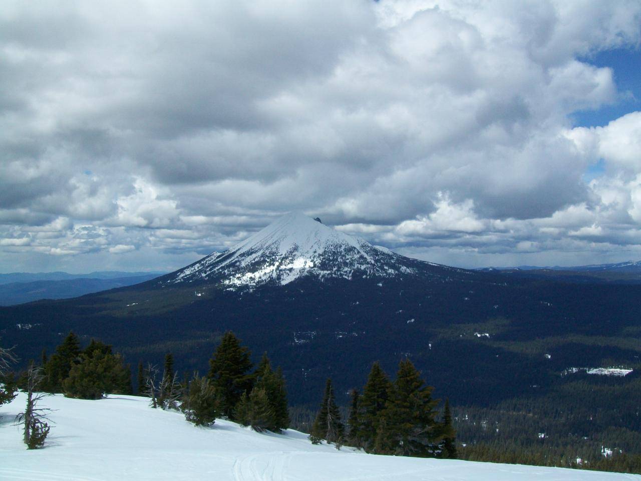 The view looking north from the top of Brown Mt