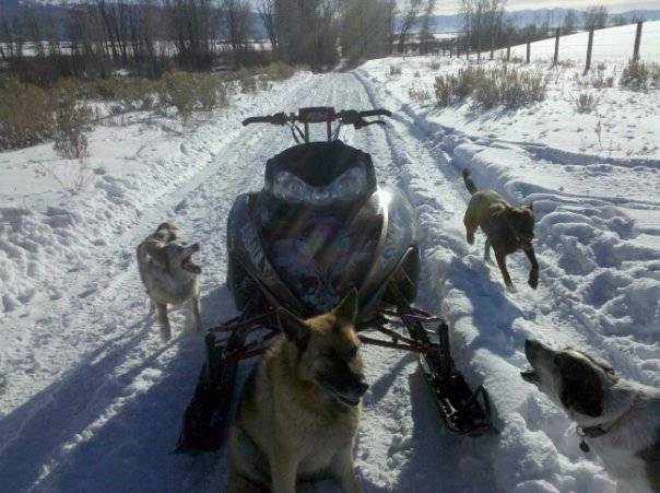 they like sleddin more than me