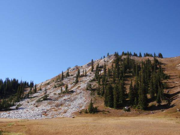 This is the hill they were climbing. They were going up the steep part that is kind of in the center of the picture. There was a large cornice at the 