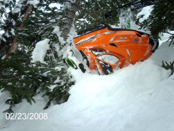 this tree actually saved the sled