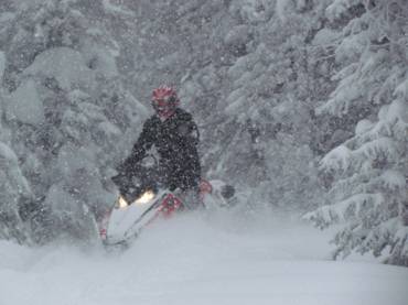 tog snow thru trees