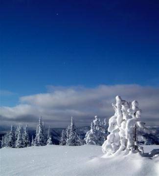 Top of Brundage